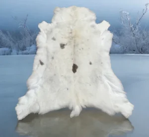Swedish Reindeer hides Winter white