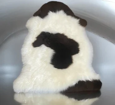 Rare breed sheepskin Winter white and black
